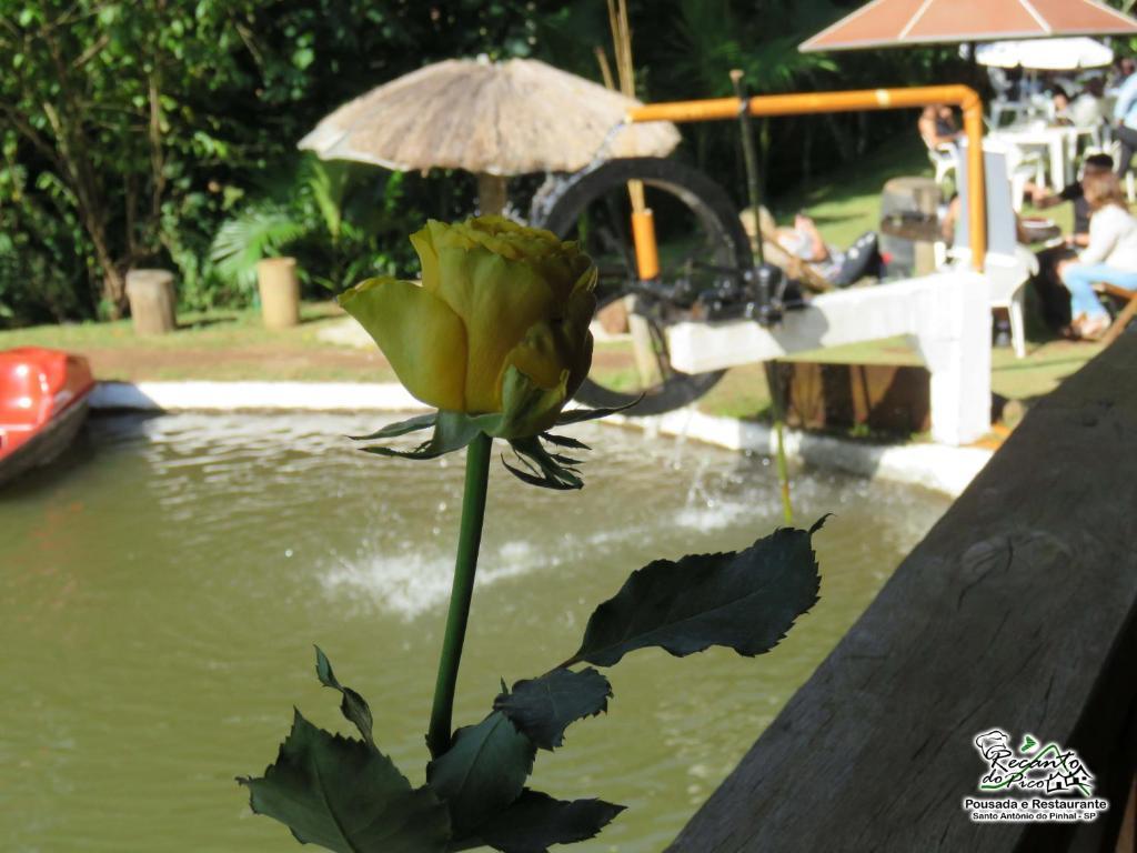 Pousada E Restaurante Recanto Do Pico Santo Antônio do Pinhal Zewnętrze zdjęcie